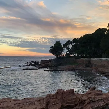Villa Magnifique Piscine Jardin Fréjus