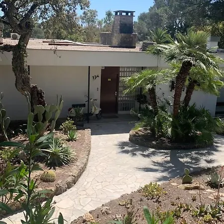 Magnifique Piscine Jardin * Fréjus