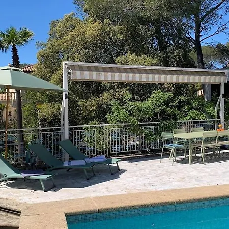 Magnifique Piscine Jardin